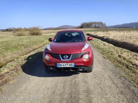 Nissan Juke 2013