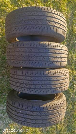 Opony letnie Viking ProTech NewGen 205/55/16 -  4 szt.