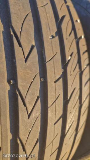 Opony letnie Viking ProTech NewGen 205/55/16 -  4 szt.