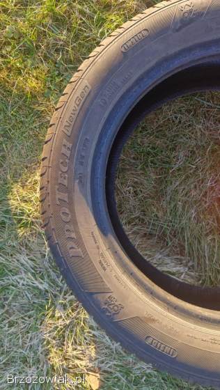 Opony letnie Viking ProTech NewGen 205/55/16 -  4 szt.