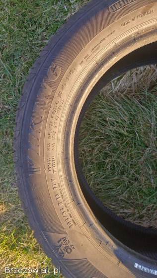 Opony letnie Viking ProTech NewGen 205/55/16 -  4 szt.