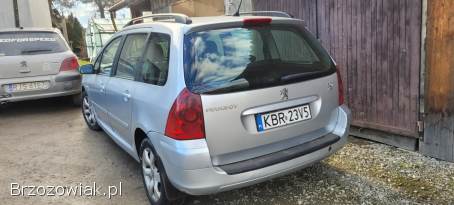 Peugeot 307 2007