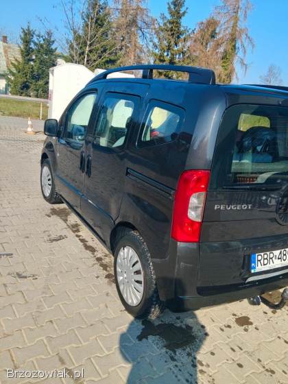 Peugeot Bipper Tepee 2009