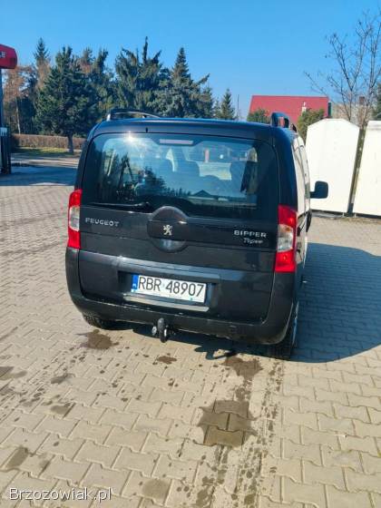 Peugeot Bipper Tepee 2009