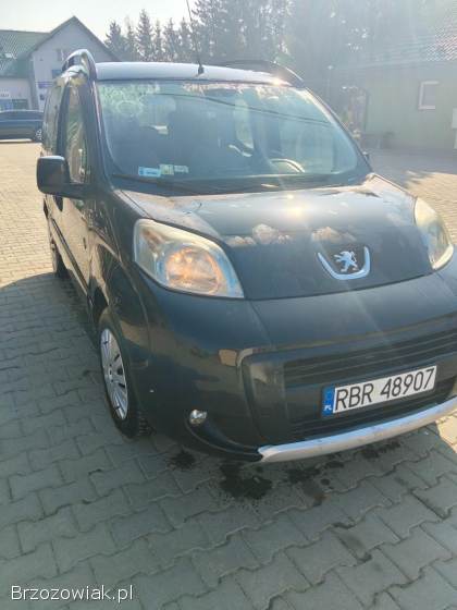 Peugeot Bipper Tepee 2009