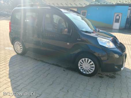 Peugeot Bipper Tepee 2009