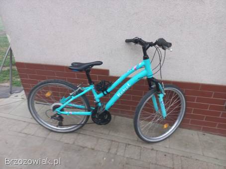 Rower damski Basia 24