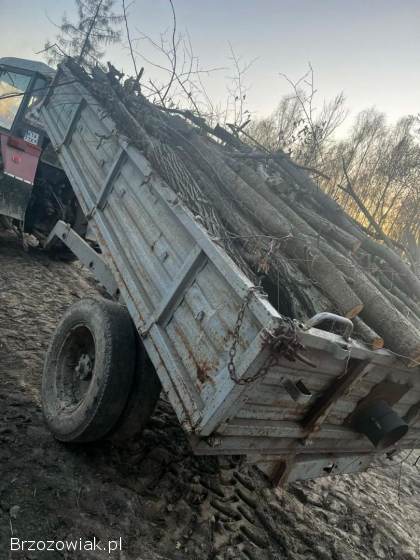 Przyczepą wywrotka jednoosiowa