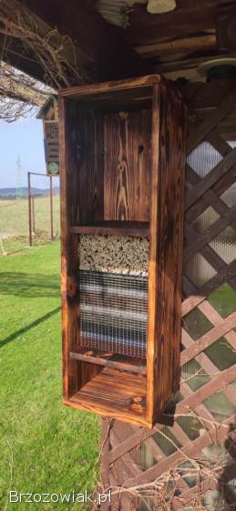 Murarka ogrodowa,  murarki,  kokony,  Osmia bicornis (rufa)