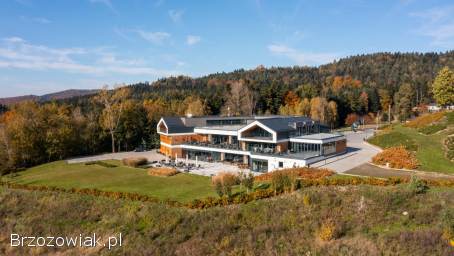 Praca dla Kelnerki / Kelnera