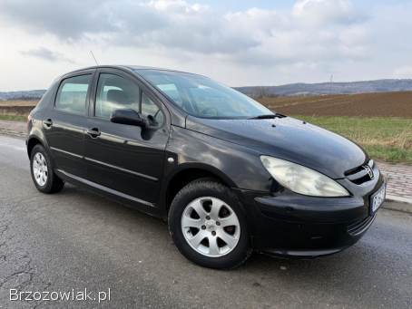 Peugeot 307 1.  6HDi 90km 2005