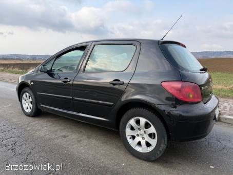 Peugeot 307 1.  6HDi 90km 2005