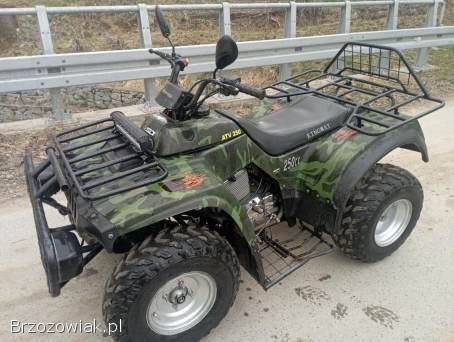 Quad Kingway traper 250