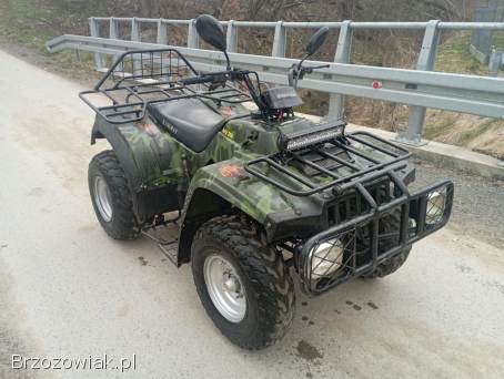 Quad Kingway traper 250