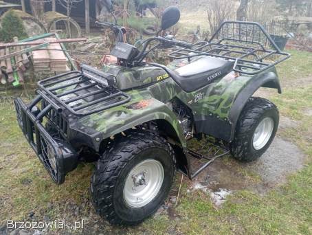 Quad Kingway traper 250
