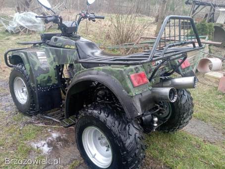 Quad Kingway traper 250