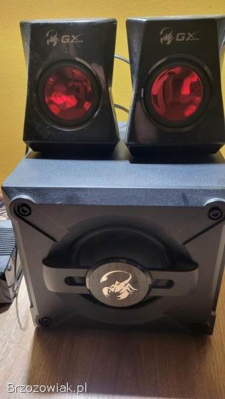 Głośniki subwoofer ze wzmacniaczem