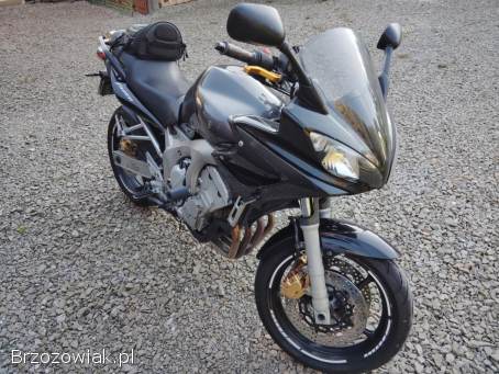 Yamaha FZ 600 Fazer  2005