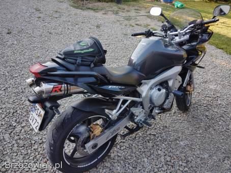 Yamaha FZ 600 Fazer  2005