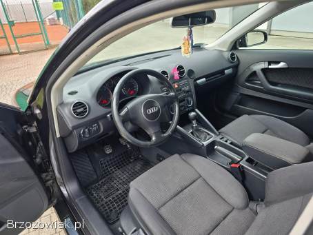 Audi A3 8p 2004