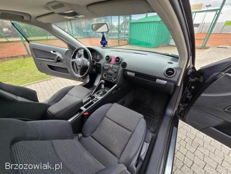 Audi A3 8p 2004