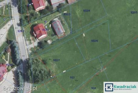 Bzianka – 9,  77 ar przy drodze