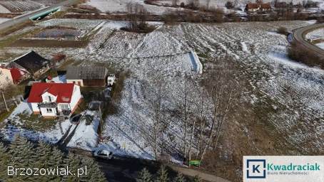 Bzianka – 9,  77 ar przy drodze