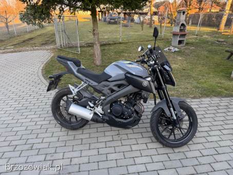 Yamaha MT 2017