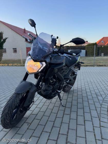 Yamaha MT 2017