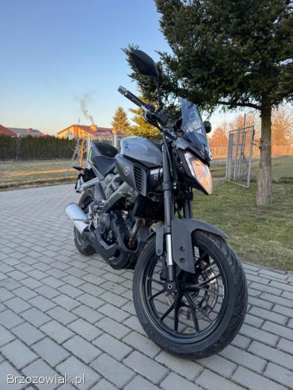 Yamaha MT 2017