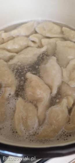 PIEROGI