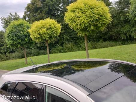 Hyundai i40 136KM  2013