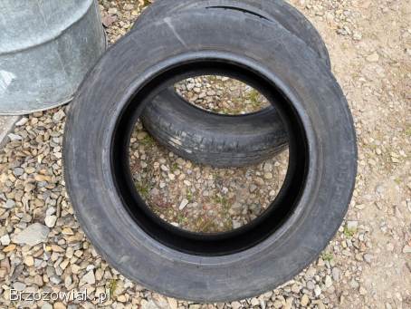 Opony letnie 205/55 R17 Continental EcoContact6 2020 r.  5 mm