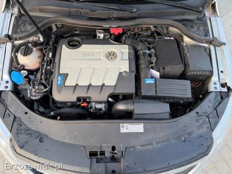 Volkswagen Passat Cc 2.  0 TDI 170KM  2009