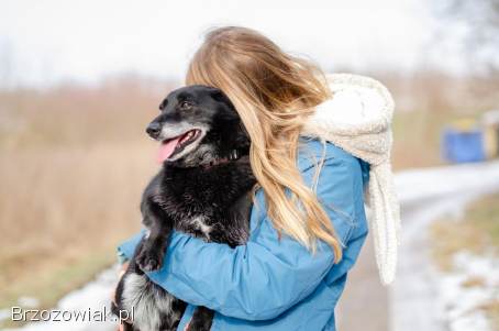 Patyk -  wesoły,  mały psiak szuka domu!