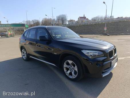 BMW X1 E84 2010