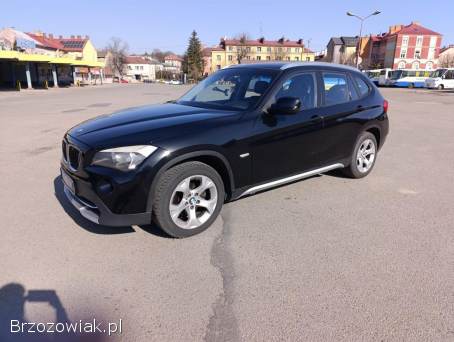 BMW X1 E84 2010