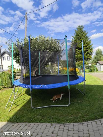 Trampolina na 2-3 osoby!