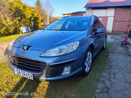 Peugeot 407 SW 2006