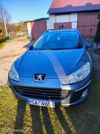 Peugeot 407 SW 2006