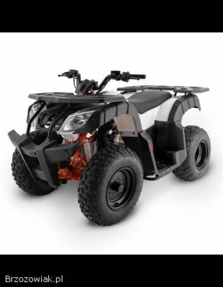 Quad KAYO AU150