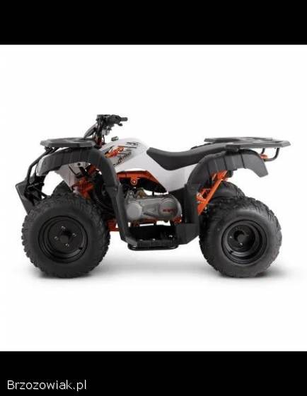 Quad KAYO AU150