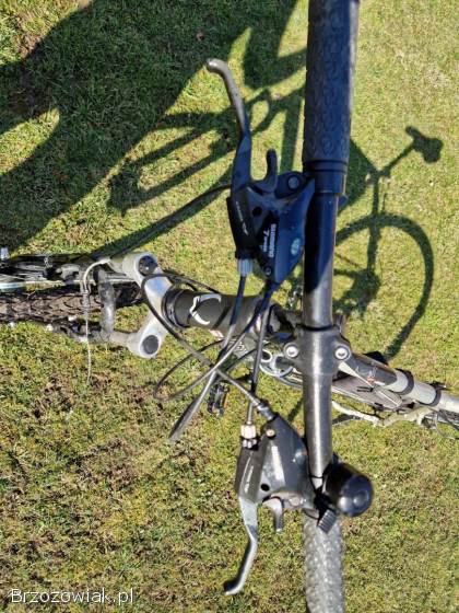 Rower crossowy Conway 29 cali