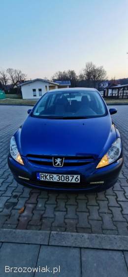 Peugeot 307 2005