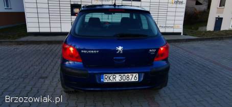 Peugeot 307 2005
