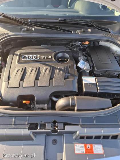 Audi A3 P8 2009