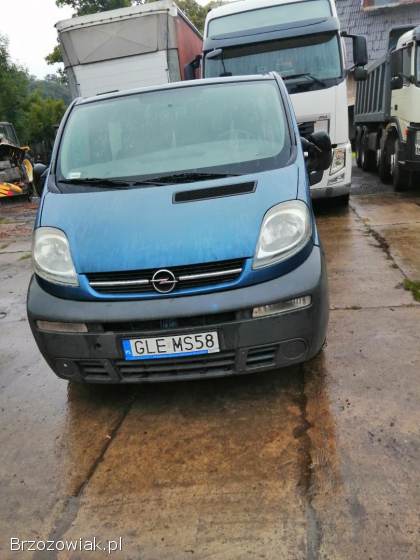 Opel VIVARO 2004 rok