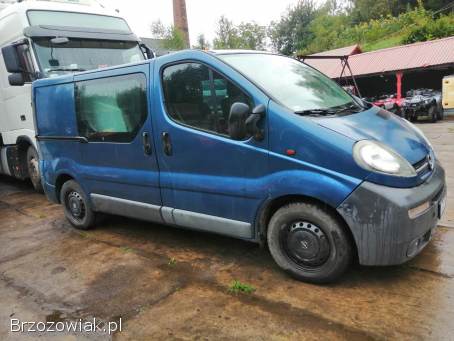 Opel VIVARO 2004 rok