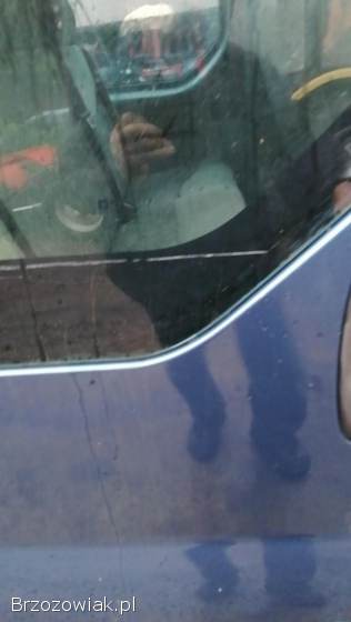 Opel VIVARO 2004 rok
