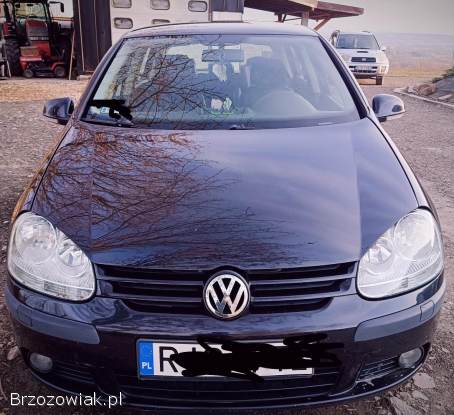Volkswagen Golf V 2004